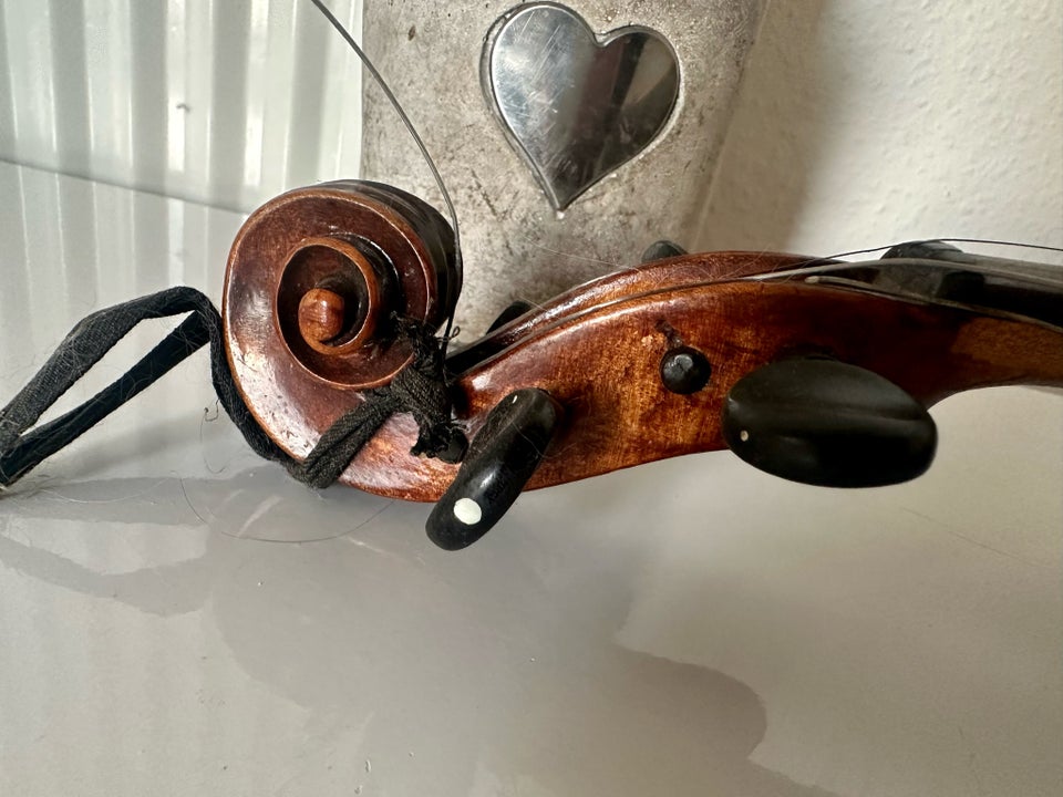 Violin