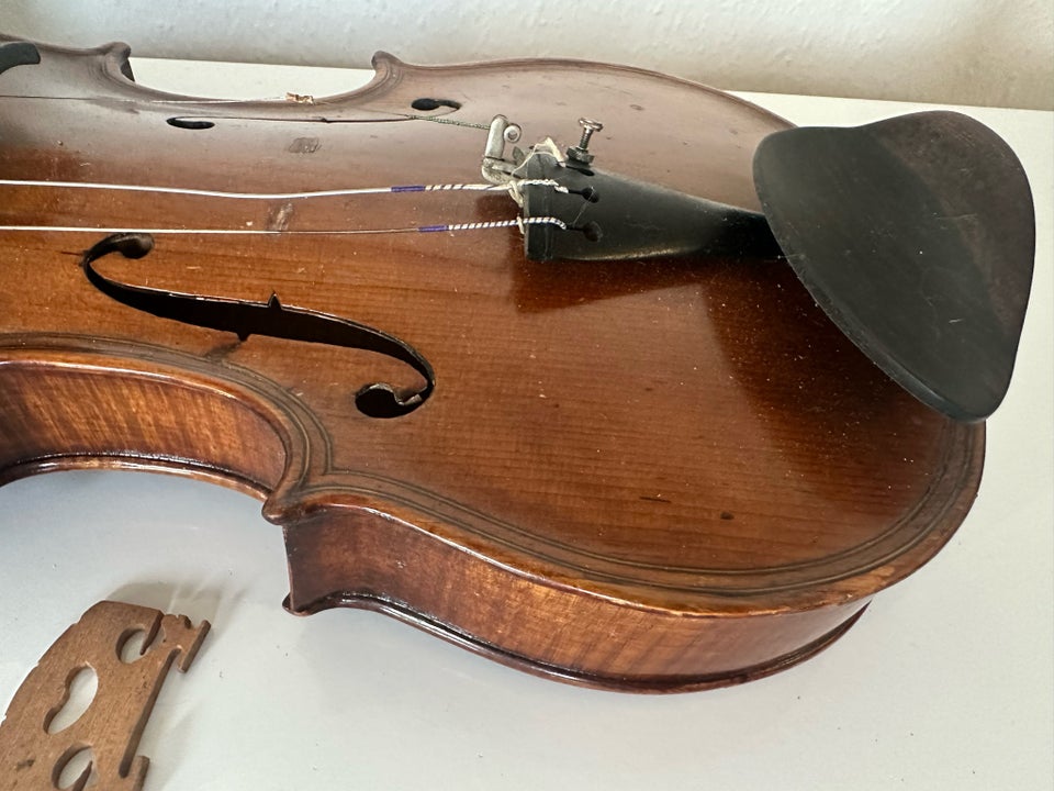 Violin