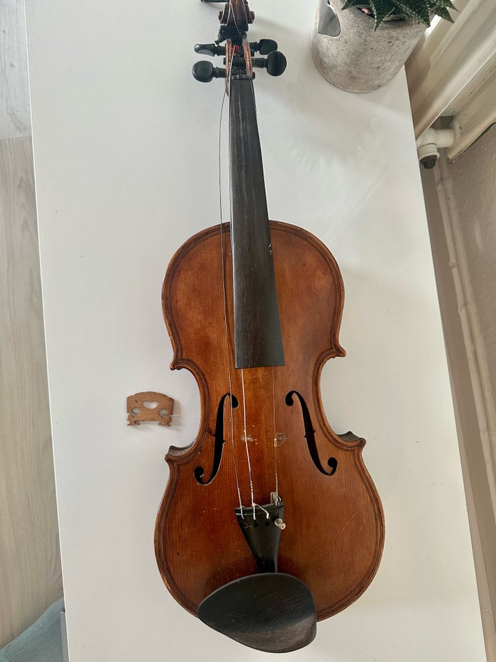 Violin