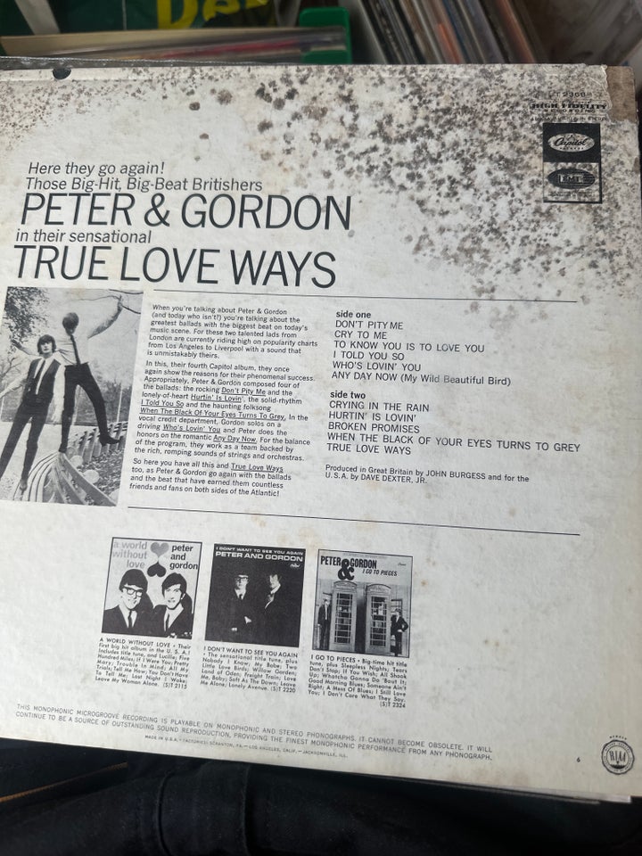 LP, Peter  Gordon