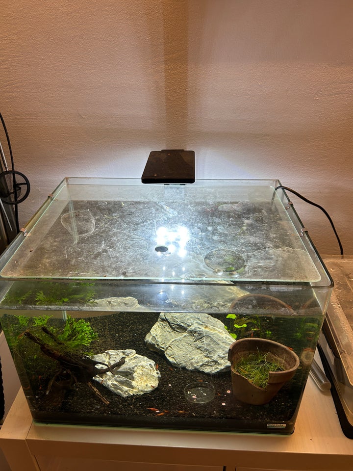 Akvarium, 55 liter, b: 40 d: 32 h: 28