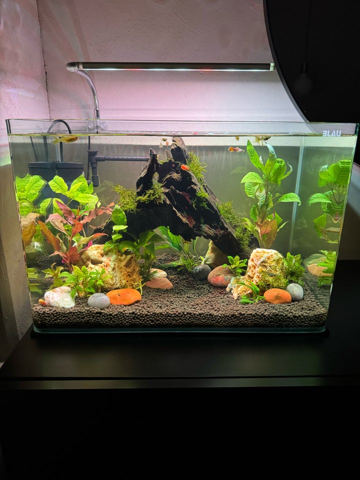 Akvarium, 38 liter, b: 45 d: 28 h: 30