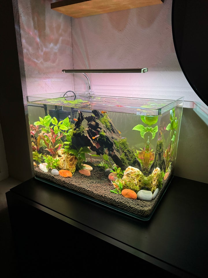 Akvarium, 38 liter, b: 45 d: 28 h: 30