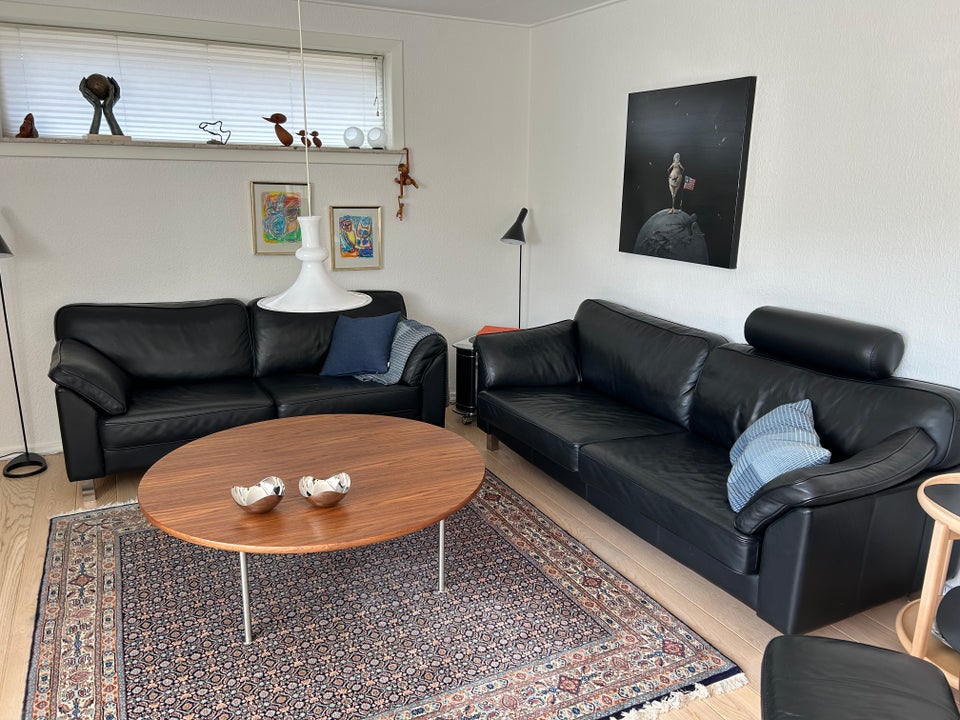 Anden arkitekt, Garda, Læder sofa