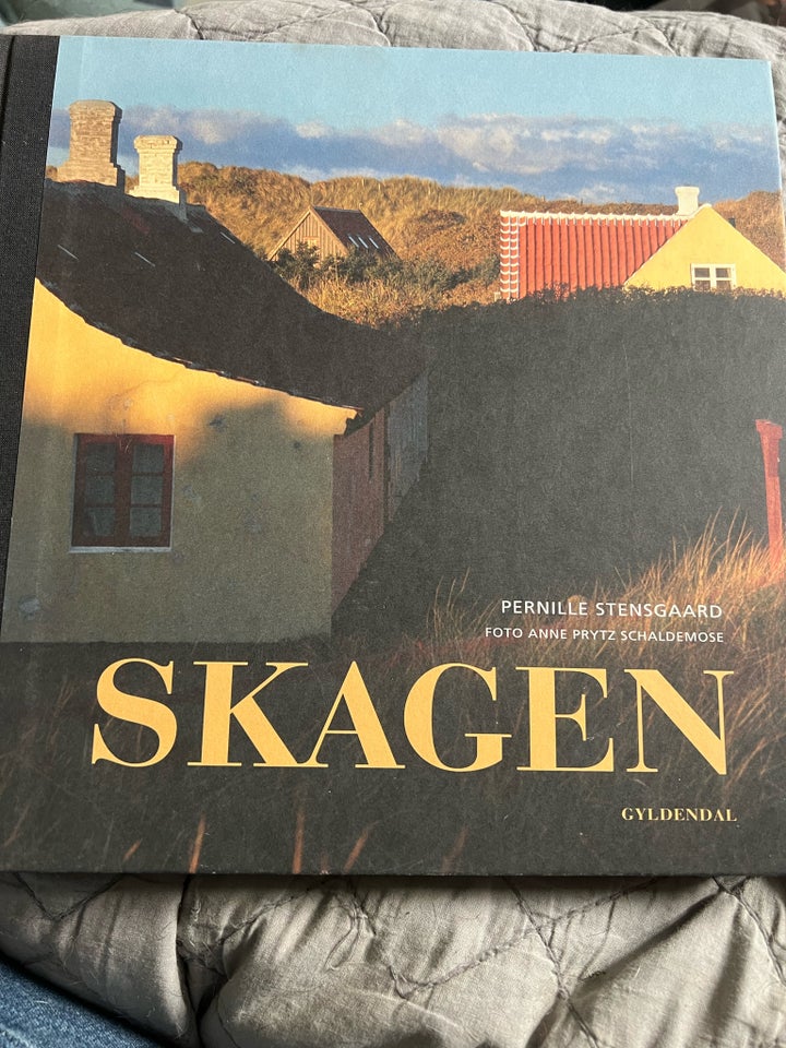 SKAGEN emne: historie og samfund