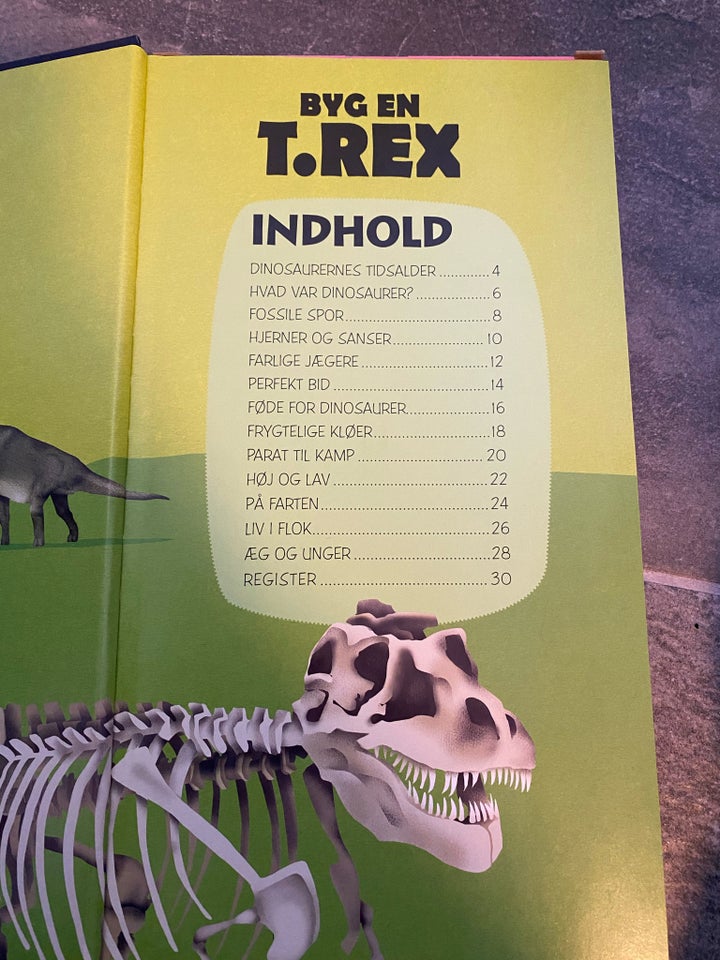 Byg en T. Rex, Ukendt