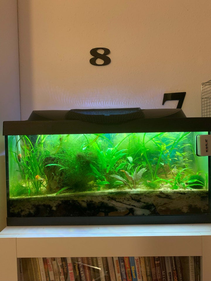 54 l Akvarie med mange plan