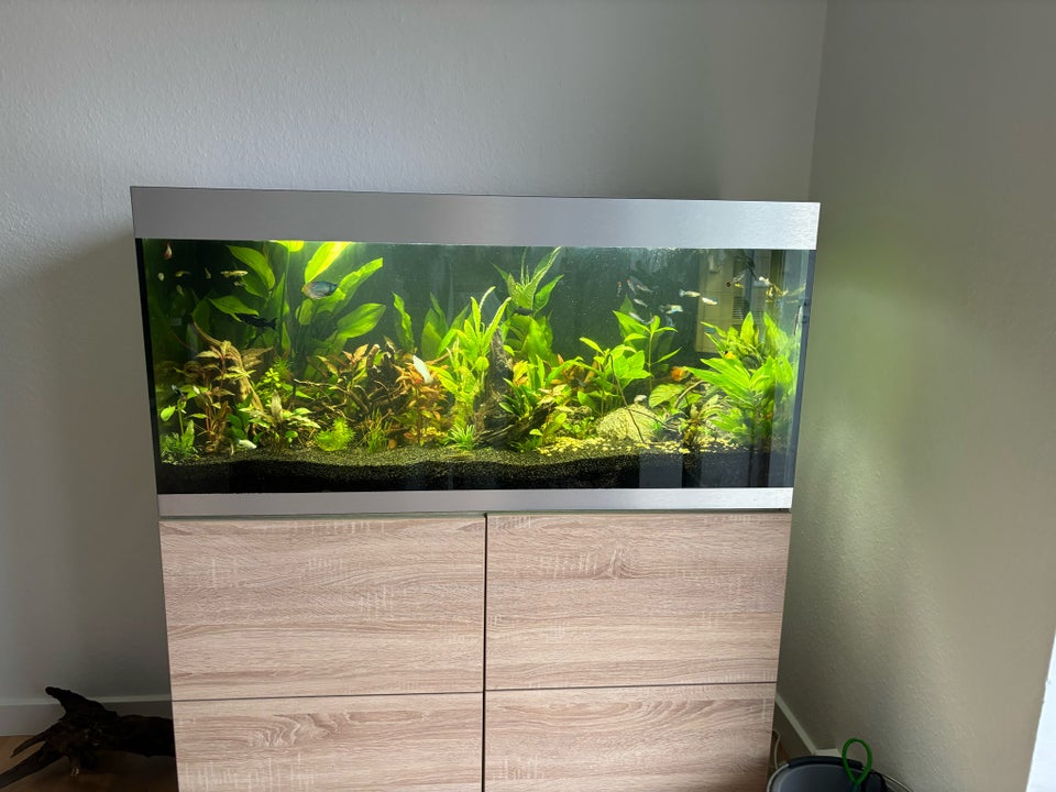 Akvarium, 300 liter