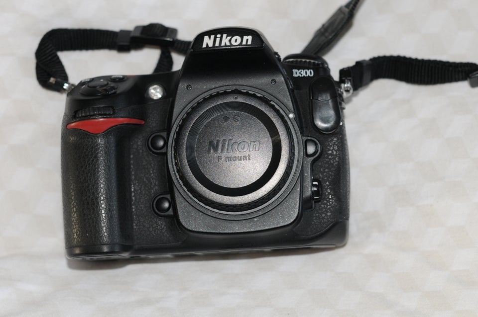 Nikon D300 DX, 12,3 megapixels,