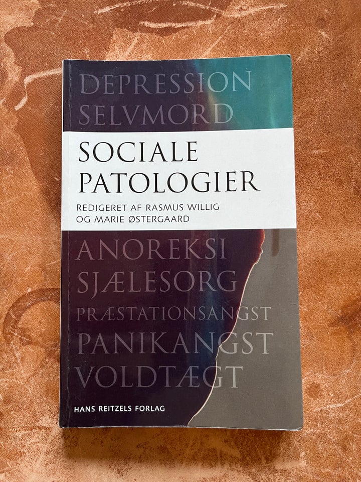 Sociale Patologier, Rasmus