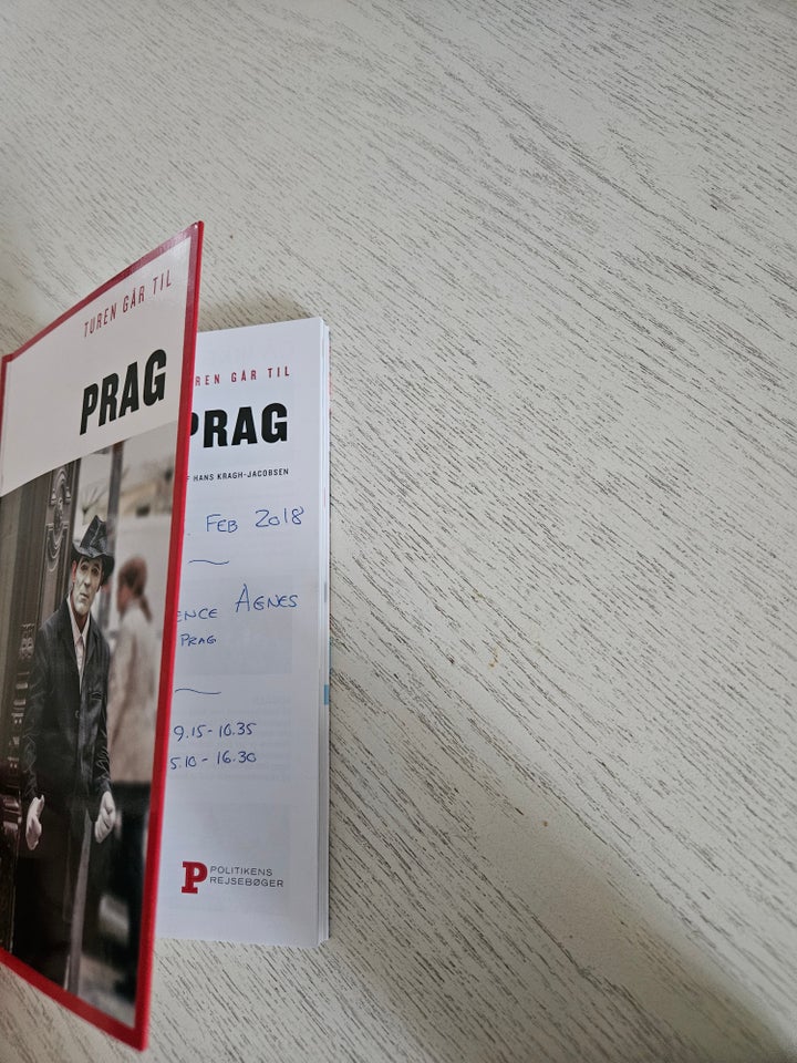 Turen går til Prag, Politiken