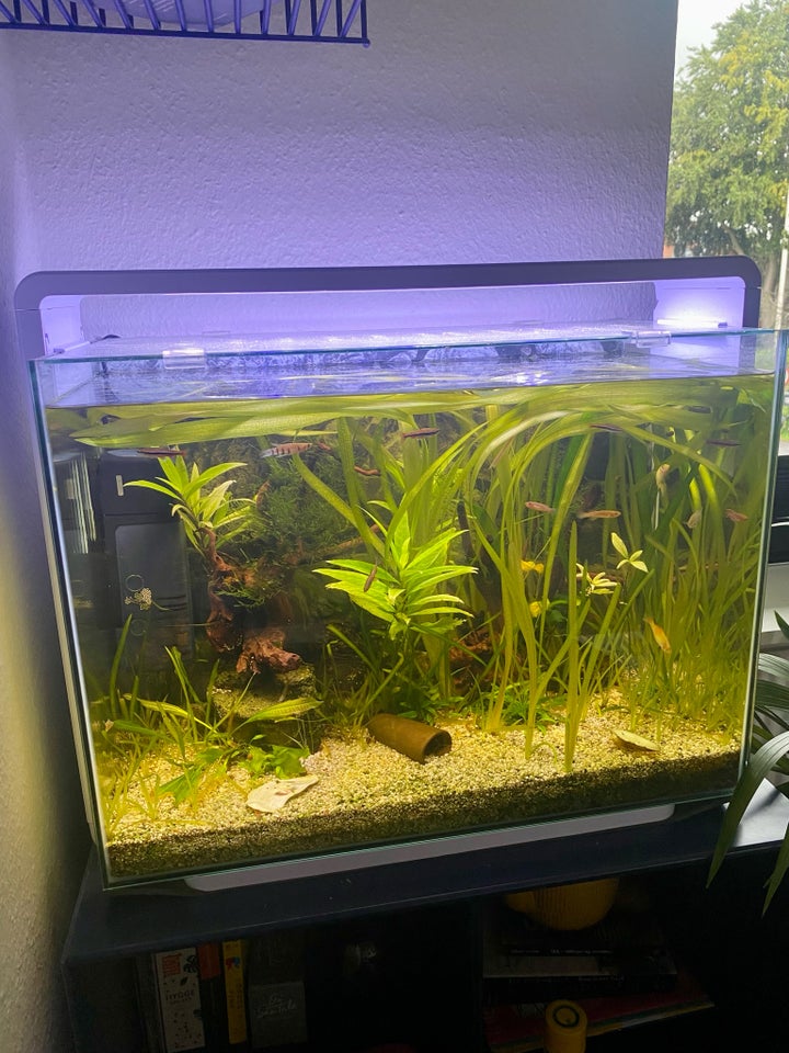 Akvarium, 85 liter