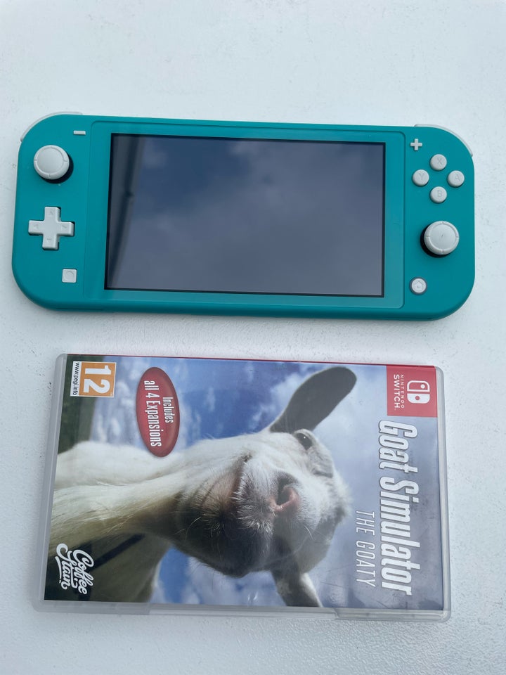 Nintendo Switch Switch lite