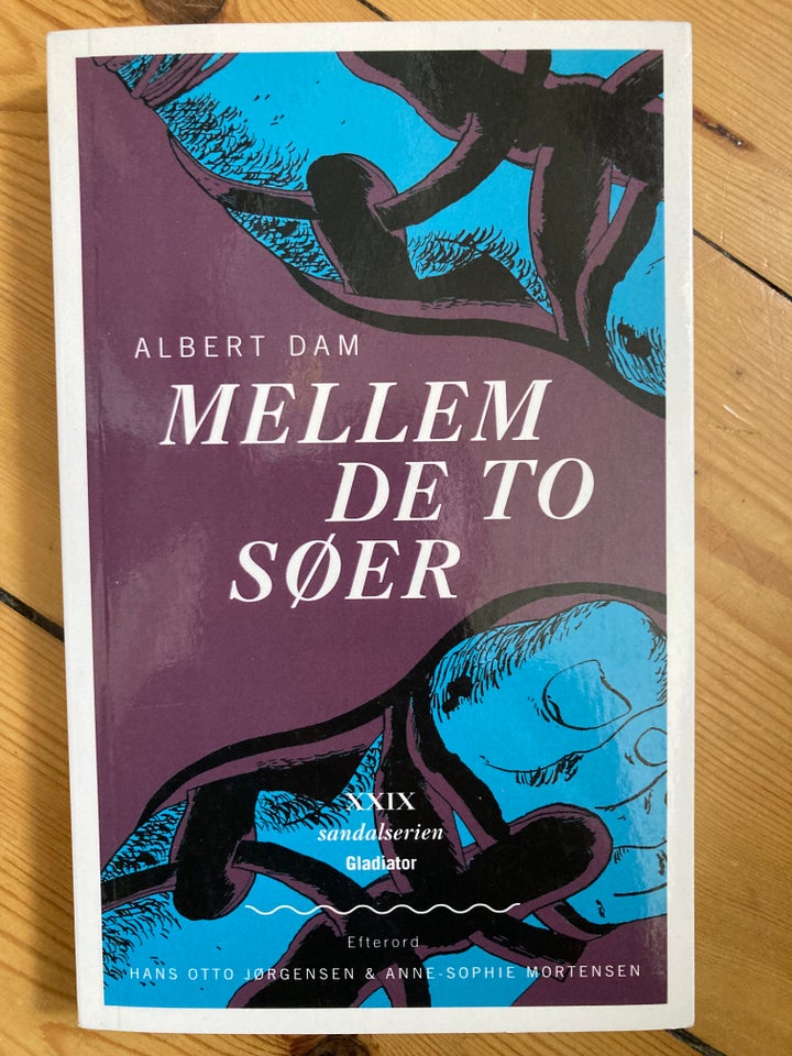 Mellem de to søer Albert Dam anden