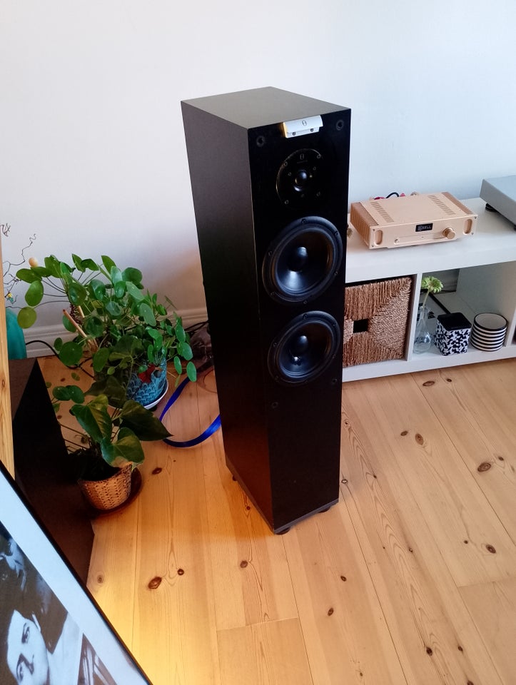 Højttaler, Audiovector, M3