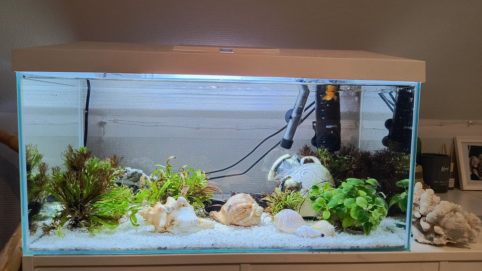 Akvarium, 54 liter, b: 30 d: 60 h: 65