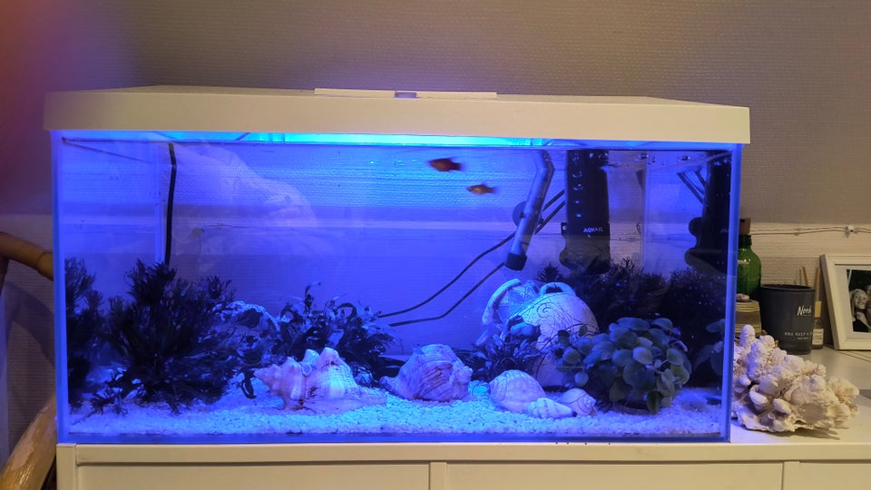 Akvarium, 54 liter, b: 30 d: 60 h: 65