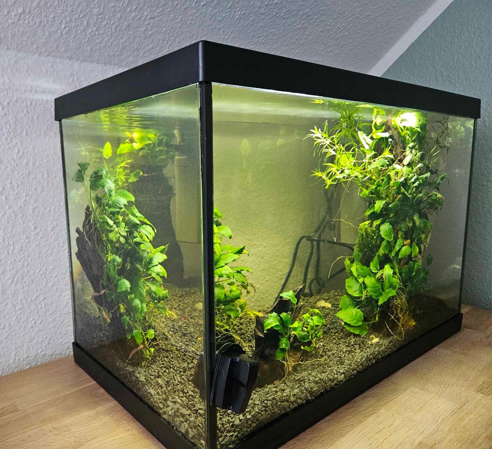 Akvarium 70 liter b: 56 d: 32 h: 40