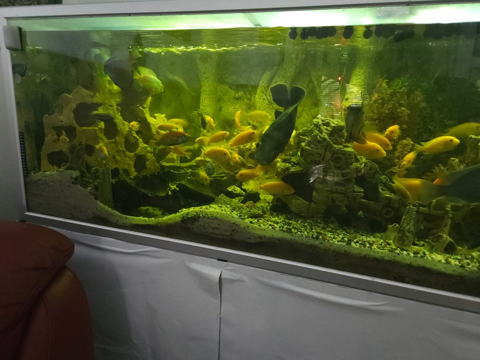 Akvarium 900 liter