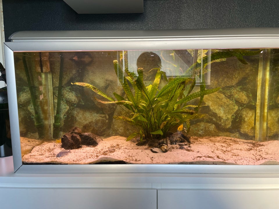 Akvarium 180 liter b: 100 d: 40 h: