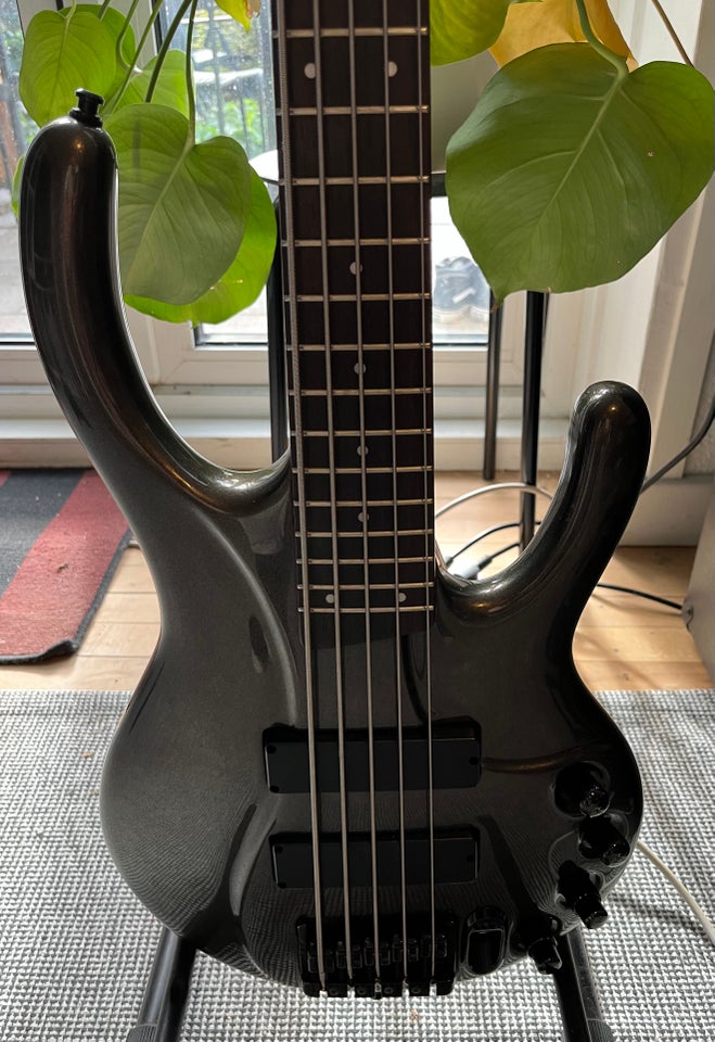 Elbas, Ibanez Ergodyne EDC 705