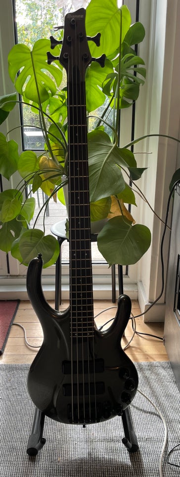 Elbas, Ibanez Ergodyne EDC 705