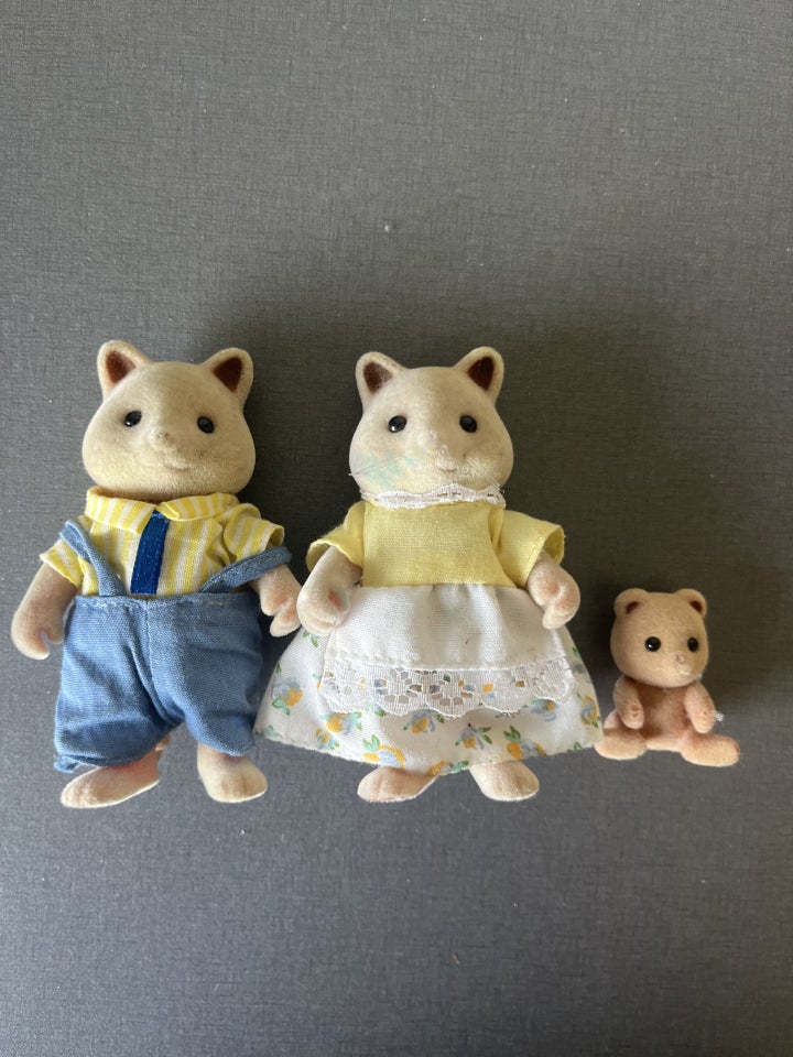 Sylvanian, Skolebusus og