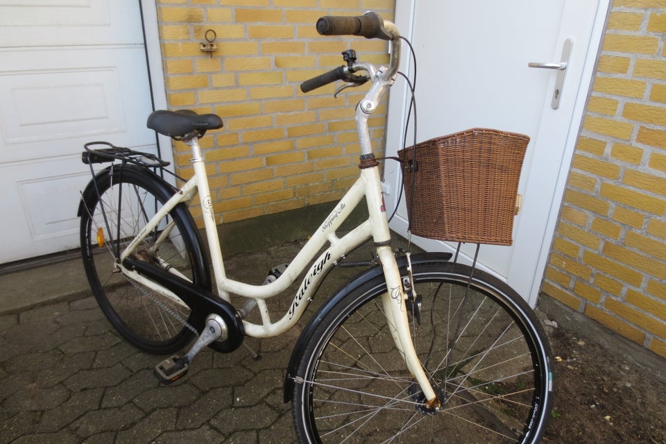 Damecykel, Raleigh, Shopping Alu