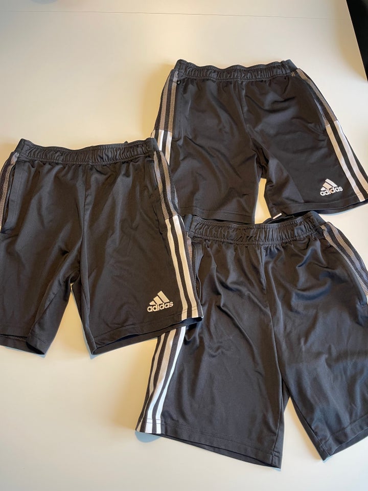 Shorts, Shorts, Adidas