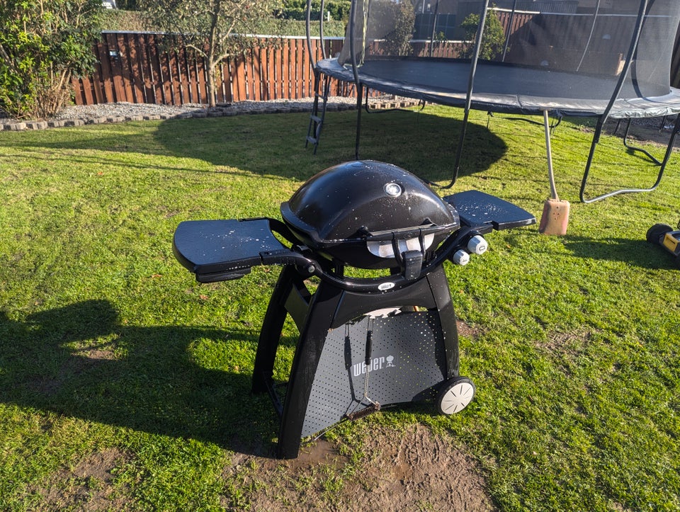 Gasgrill, Weber q3200