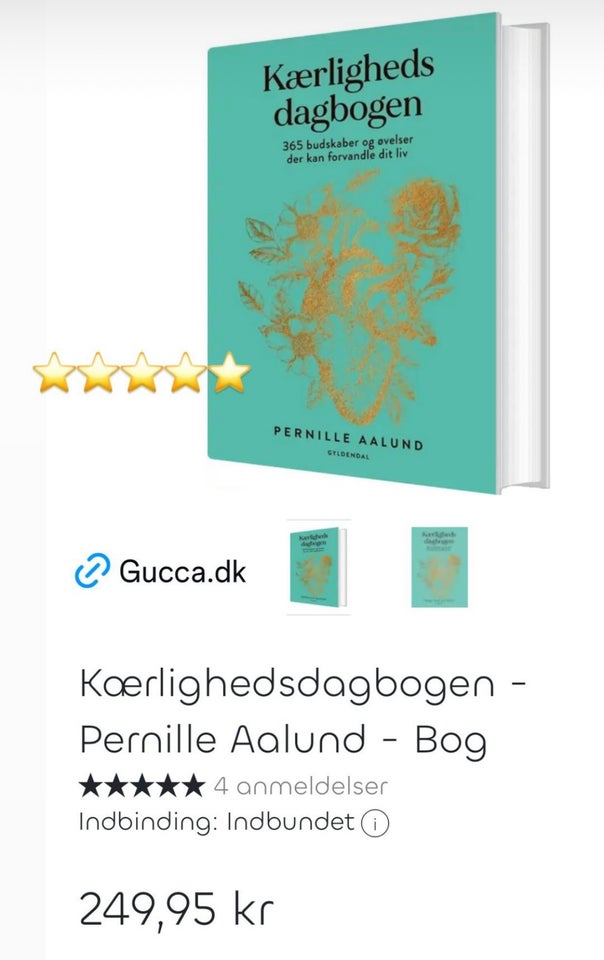 Kærlighedsdagbogen, anden bog