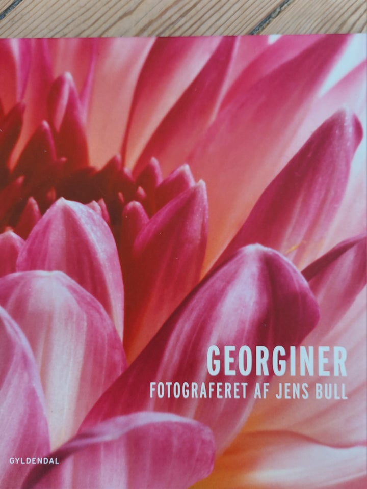 Georginer, Jens Bull, Arne Skytt