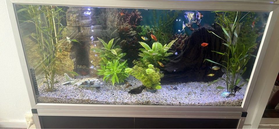 Akvarium, 250 liter