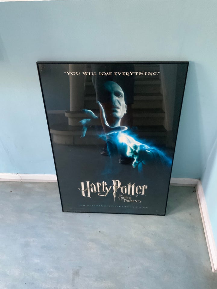 Plakat Harry potter motiv: