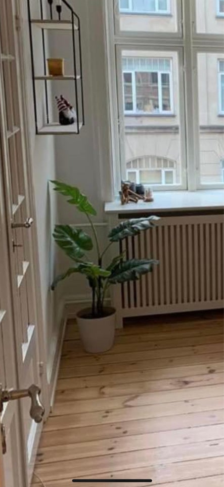 Kunstig monstera plante , IKEA