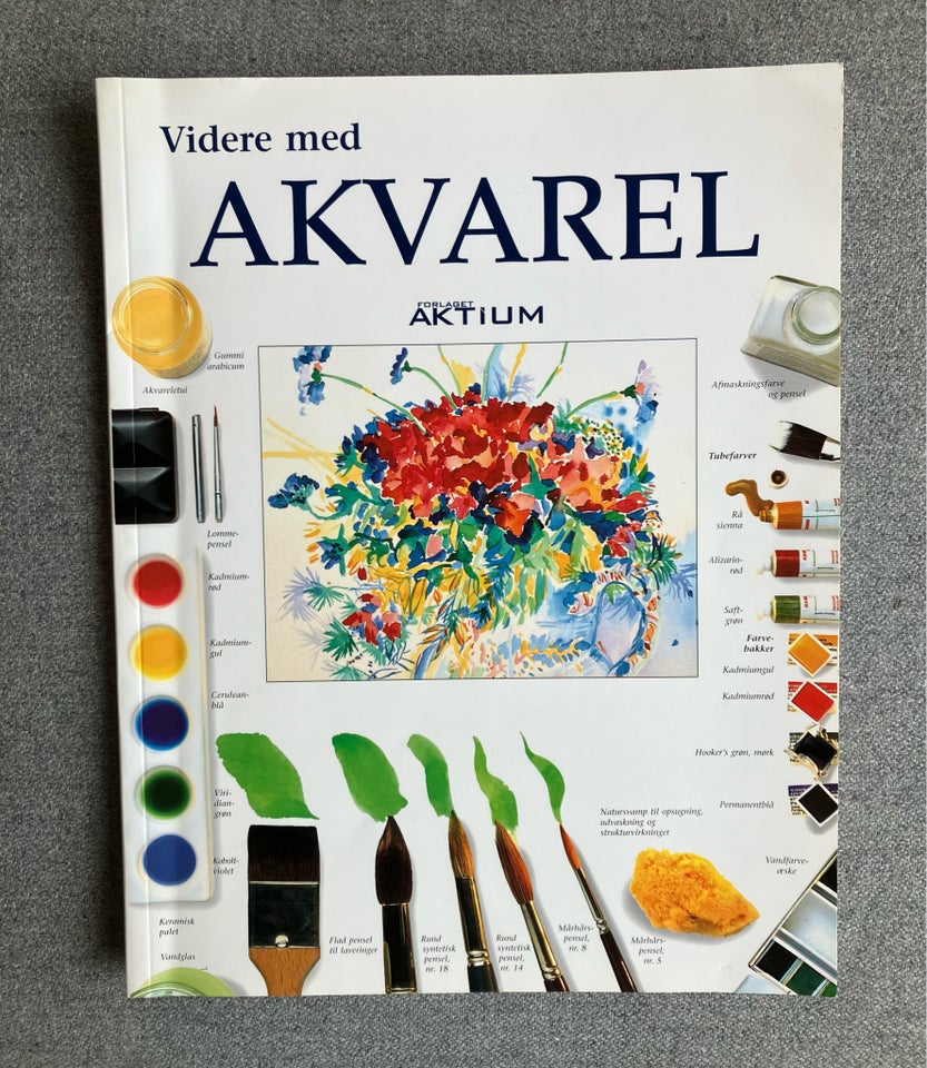 Videre med akvarel , Ray Smith,