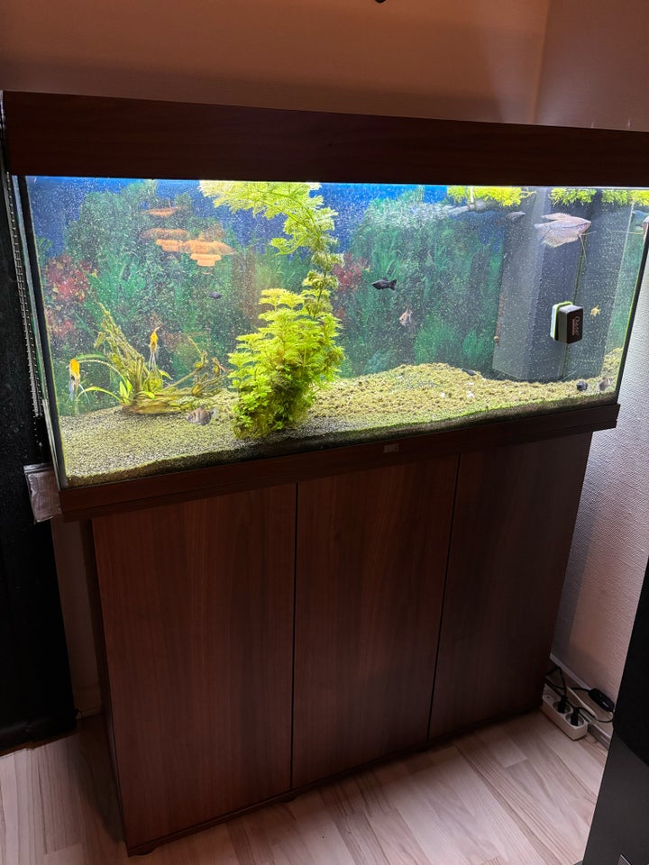 Akvarium, 180 liter, b: 100 d: 41 h: