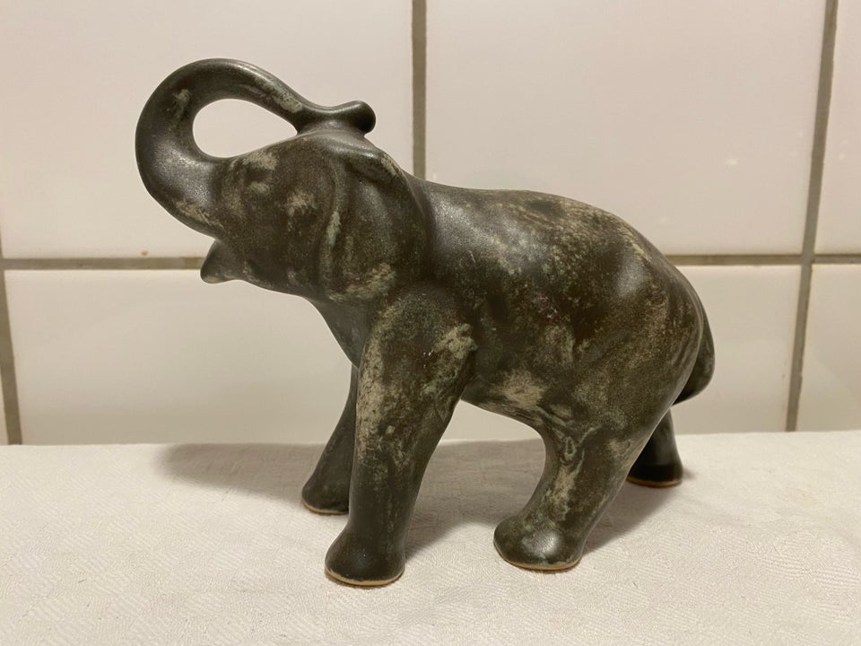 Jogus elefant., Jogus., 0000