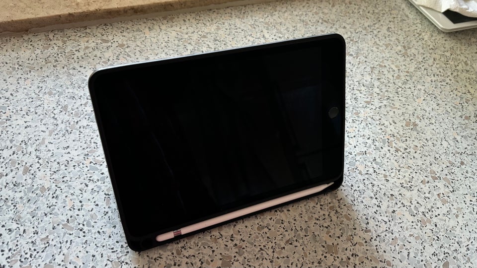 iPad mini 5 64 GB sort