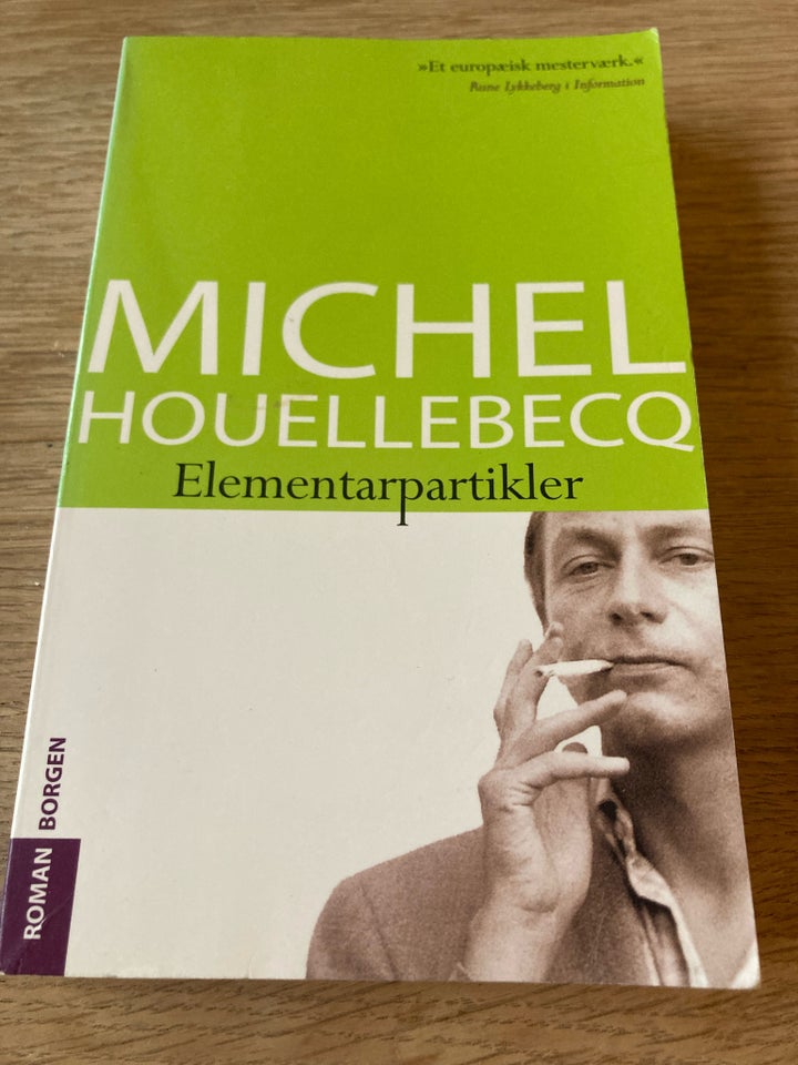 Elementarpartikler, Michael