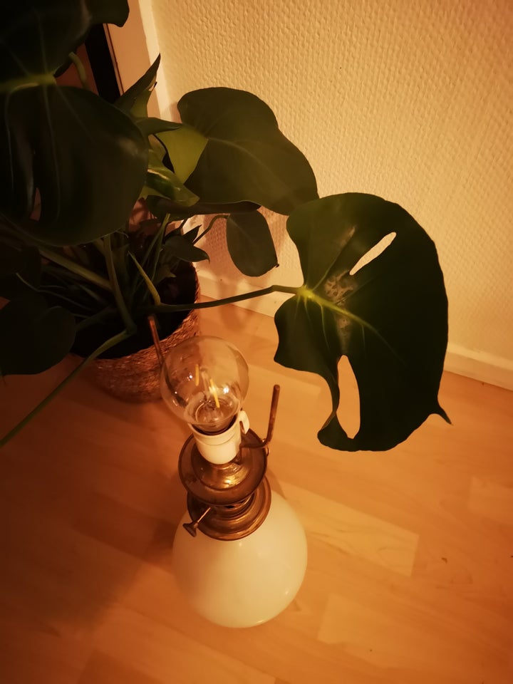 Lampe