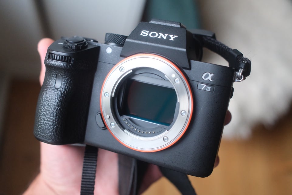 Sony, A7III, 24,2 megapixels