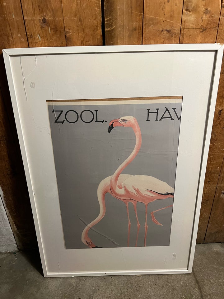 Plakat, ZOO FLAMINGOER