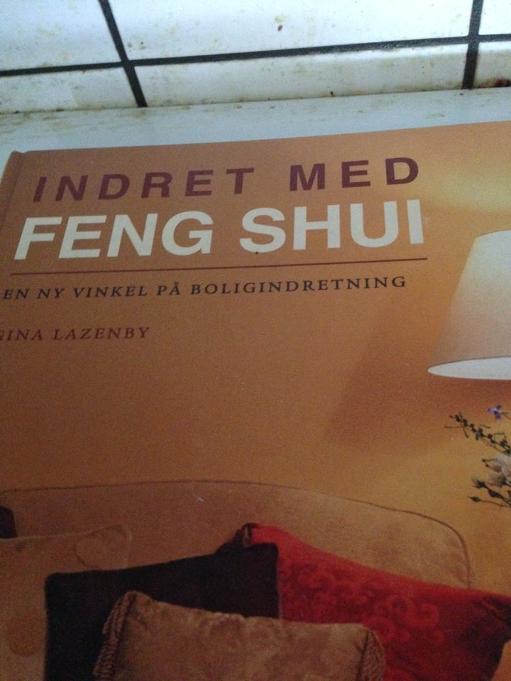 Indret med feng shui emne: