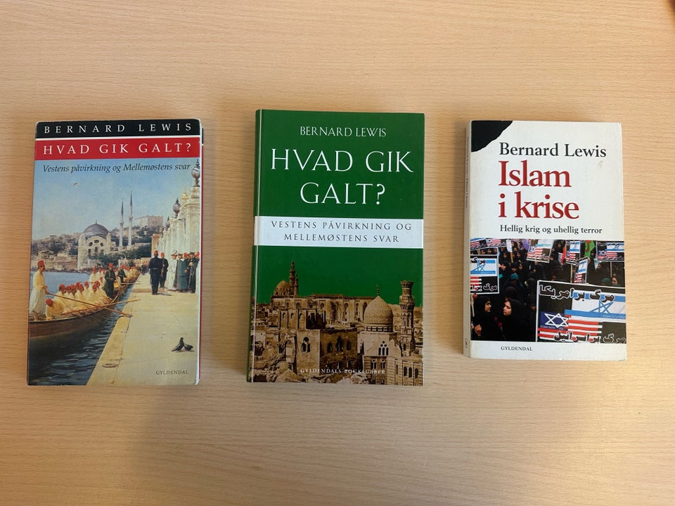 Hvad gik galt? + islam i krise,