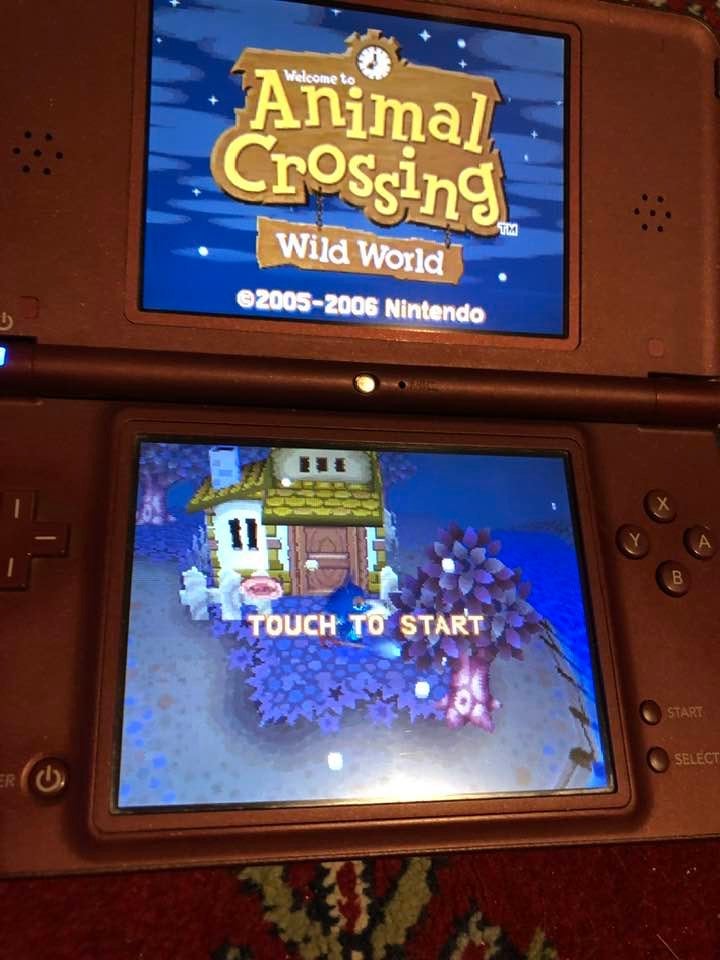 Nintendo DS spil: Animal Crossing,