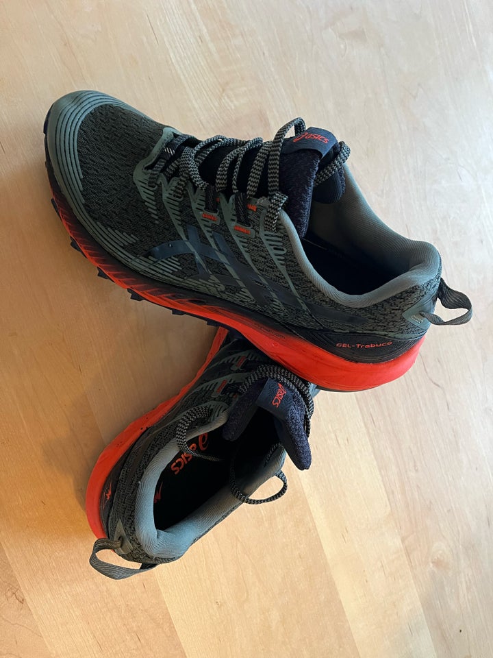 Løbesko, Trailsko : Asics Gel