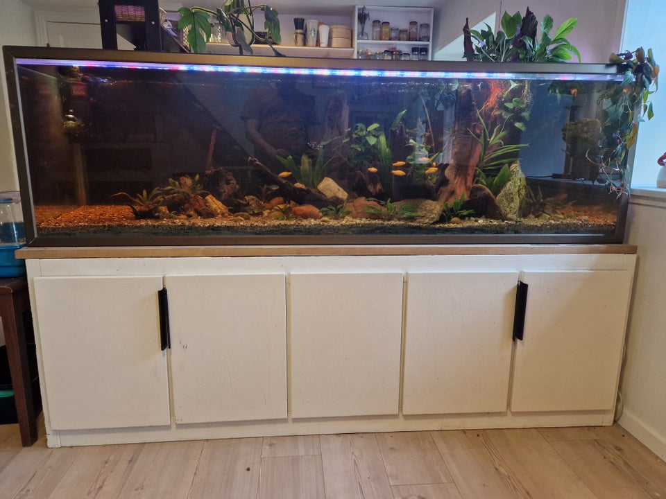 Akvarium, 660 liter