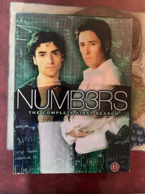 NUMB3RS: Sæson 1 DVD thriller