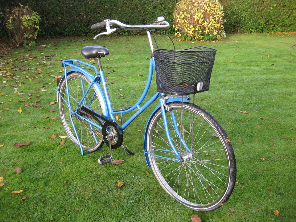 Damecykel, Raleigh, 50 cm stel